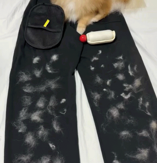 PetLush™ – Wielorazowa szczotka do usuwania sierści zwierząt